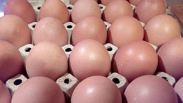 '절대 이렇게 먹으면 안 됩니다..' 알고 보니 탈모 미친 듯이 유발한다는 달걀 섭취 방법 (+원인 성분)