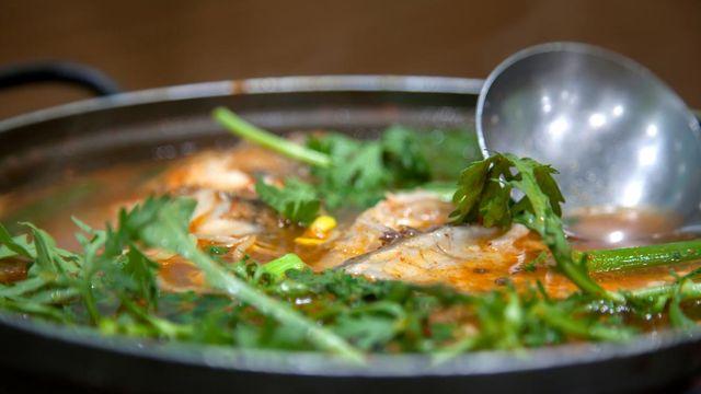 '생방송 투데이' 메기 매운탕 맛집 위치