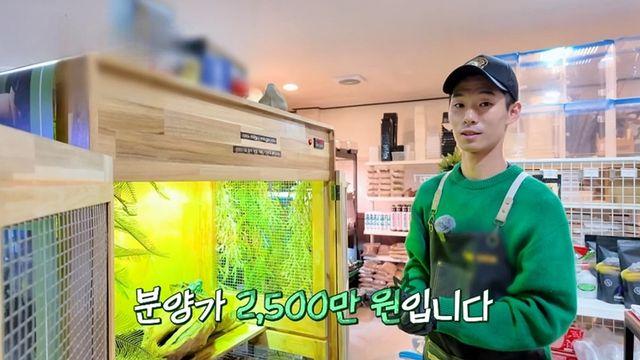 한국에 단 10마리뿐…'1마리당 무려 2500만 원' 멸종위기 동물 정체