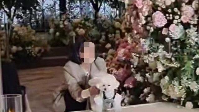 버진로드 걷는 댕댕이…이젠 '화동' 아닌 '화견'