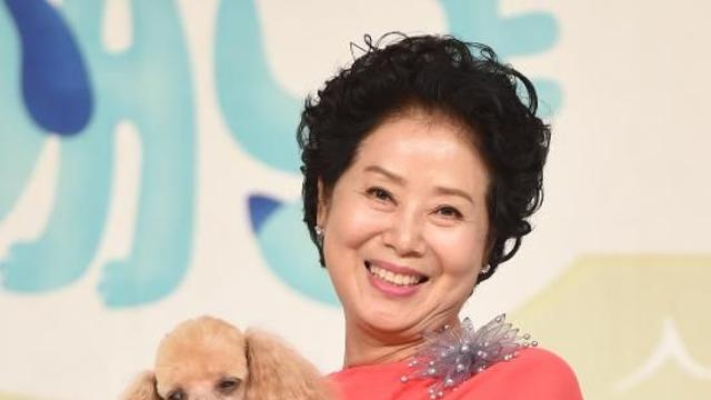 '부동산 큰손' 선우용여, 벤츠타고 호텔 조식 일상 해명 