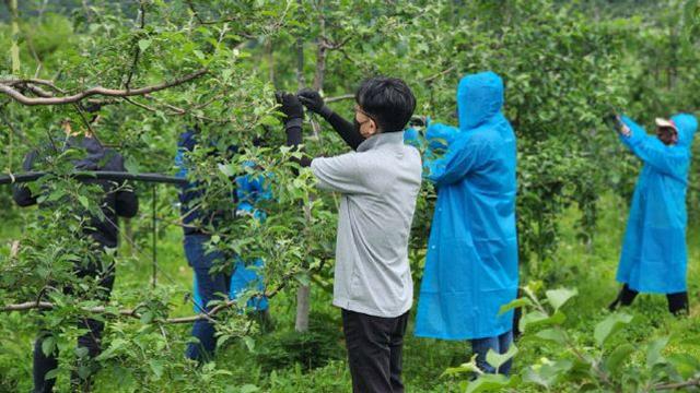포항시 대변인실, 죽장면 농촌일손 지원