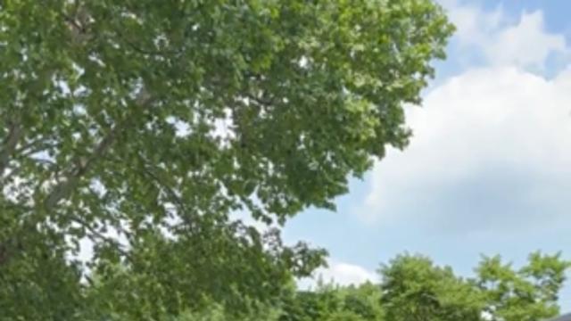 대학 축제에서 본 전무님 근황.jpg