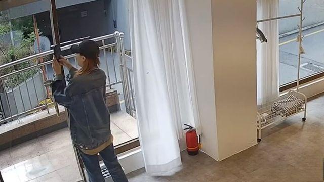 “어떻게 이런 일이 벌어지나” 대낮 강남서 발생한 절도 사건, 범인은 '57cm' 동물