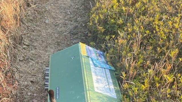 길고양이 급식소 의무화 민원…서울시 