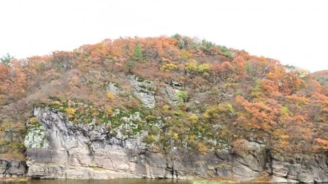 [속보] 울산 반구천 암각화…유네스코 세계유산 '등재 유력'