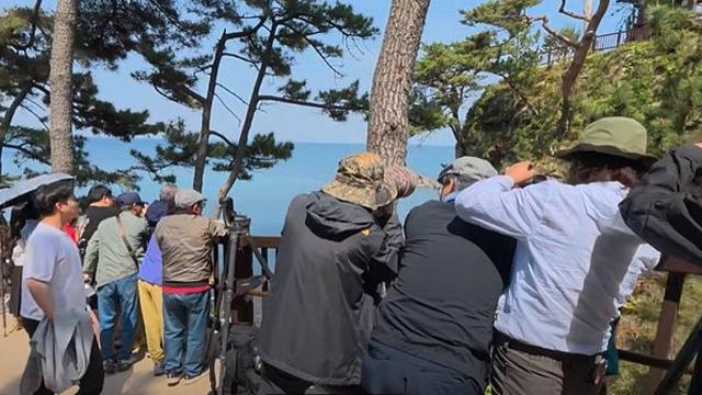 이게 왜 여기서?...유명 관광지서 '떡하니' 포착된 멸종위기 동물