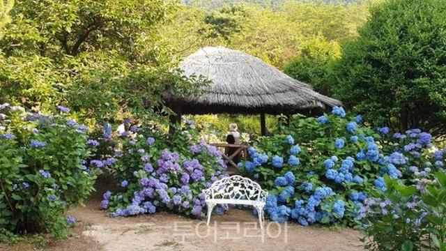 가족 나들이 코스, 경남 고성 여행지 추천