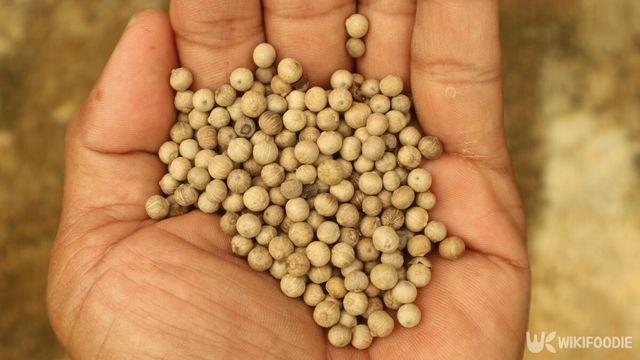 금보다 귀해서 세금으로도 쓰였는데… 지금은 편의점에서도 파는 '식재료' 정체