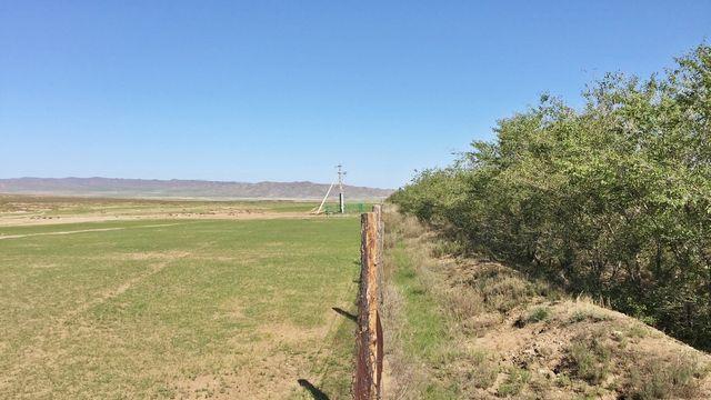 산림과학원, 몽골·中서 조림사업 성과 냈다…