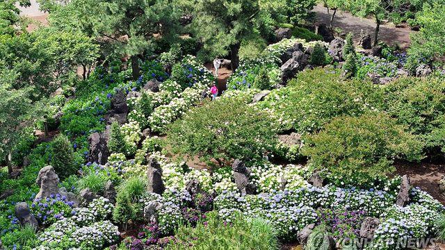 제주 대체로 맑음…낮 최고 25∼30도