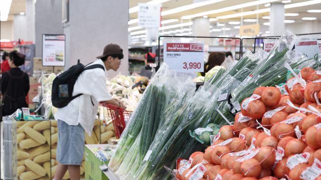 '15만~50만원' 소비쿠폰, 쿠팡·이마트서도 쓸 수 있나요