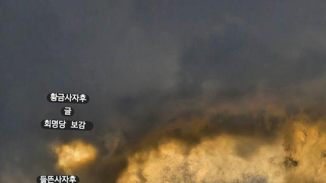[보감과의 동행76]   황금사자후