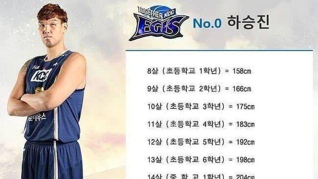 학창시절 한 번도 싸운 적 없다는 하승진 나이대별 키
