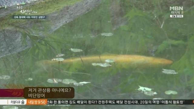 극한 직업인 나는 자연인이다.