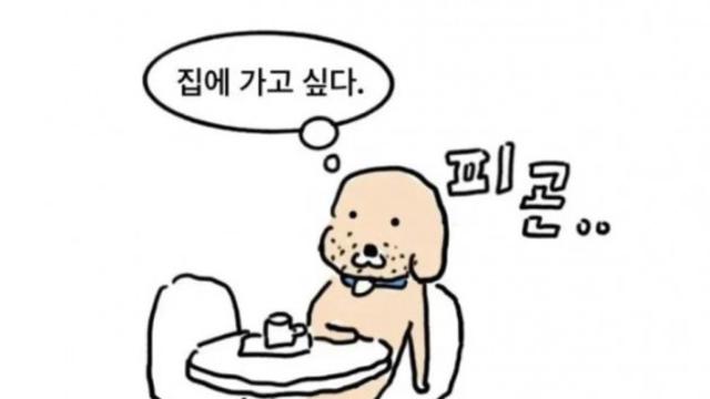 극 I가 혼자서 카페를 이용할 때.