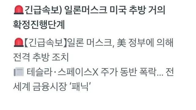일론 머스크 