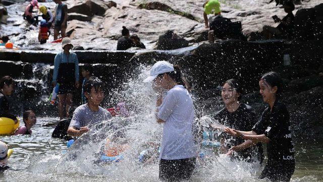 20대 남성, 계곡서 다이빙하다가 하반신 마비 증세 (전남 광양시)