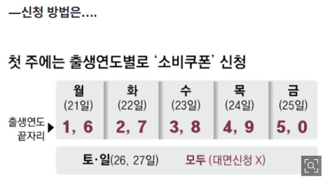 21일부터 신청 가능한 소비쿠폰 주의사항