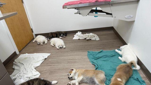 인생 처음 건강 검진 하고 뻣은 애들