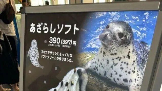 잔인한 아쿠아리움 아이스크림
