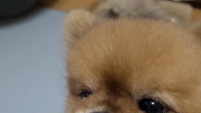 덥다더워