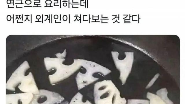 연근으로 요리히는데 외계인 ㅋㅋ