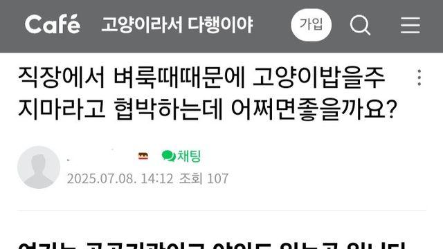 벼룩 때문에 냥퀴벌레 밥 주지 말라는 통보 받은 캣맘