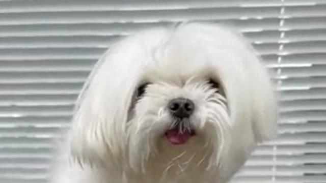 관리를 해야하는 이유 ㄷㄷ.mp4