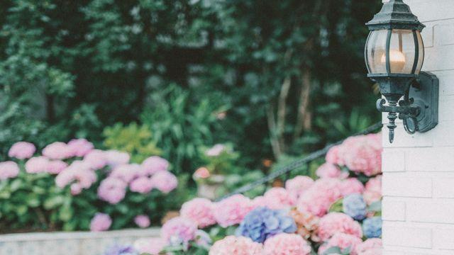 일상과 작은 여행(15장)