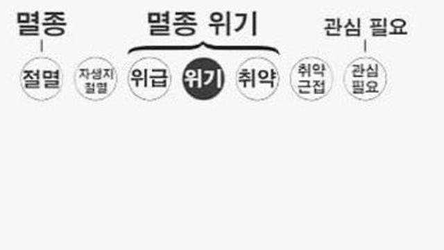 아마도 처음 봤을 수도 있는 희귀동물 