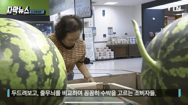 '여름 대표 과일' 수박마저... 예사롭지 않은 가격 폭등