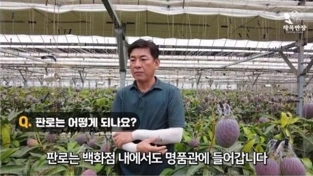 공판장엔 납품 안 한다는 사장님
