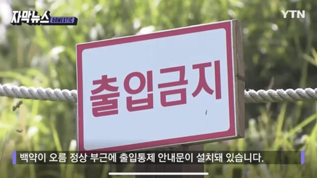 관리한다던 제주도 오름...사실상 '방치 그 자체'