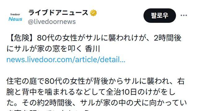 원숭이한테 습격당한 일본 80대 여성