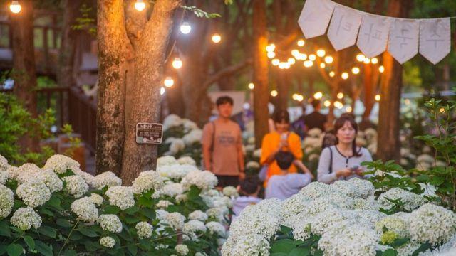 정원산업박람회 성과 거둔 진주시, '정원도시'로 전환 본격화
