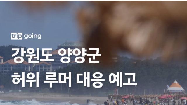 양양군 허위 루머 대응 예고 ㄷㄷ