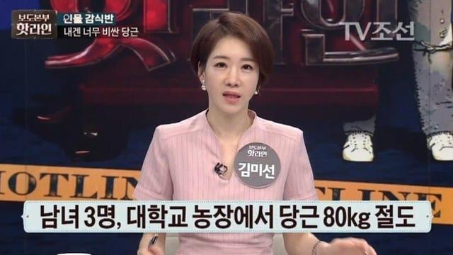 1억원 가치의 당근 도난 사건.