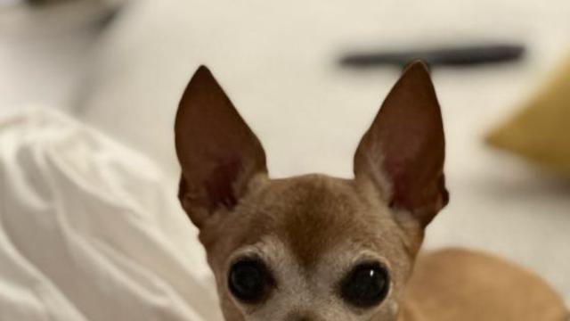이민호 “초코야~ 16년 시간이 행복했길 바라며”