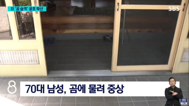 최근 일본 곰 출몰 피해 근황