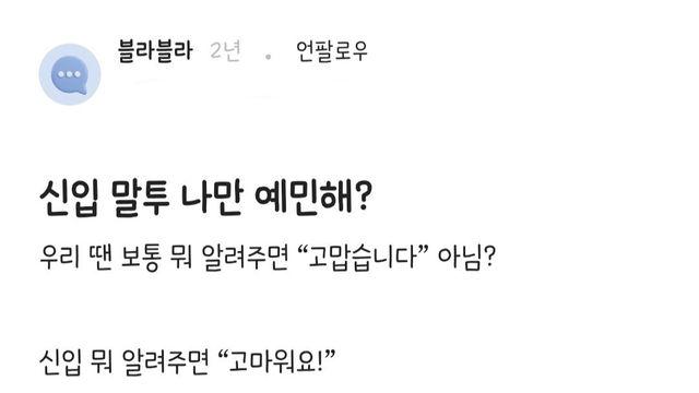 신입 말투 나만 예민해?