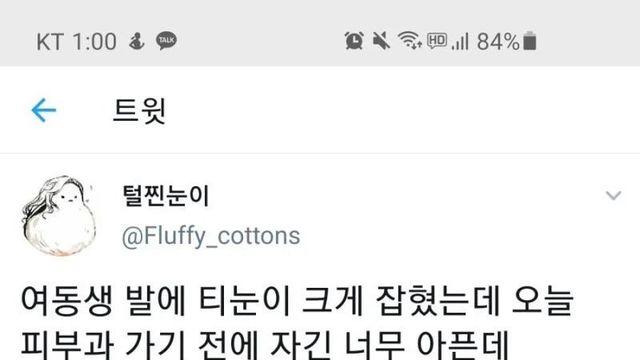 여동생 하후돈과 썰