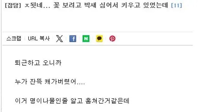 1년 농사 지은거 다 도둑 맞은 시골 청년 jpg,,