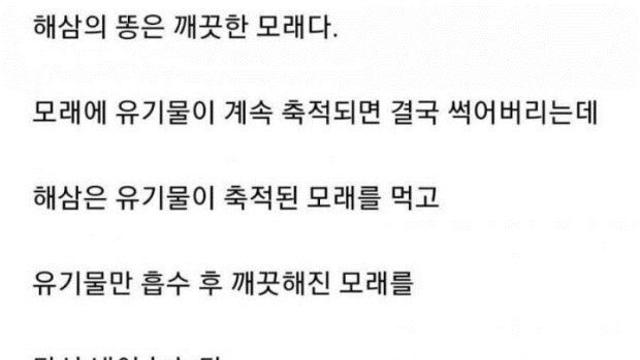 해삼이 모래를 만드는 과정