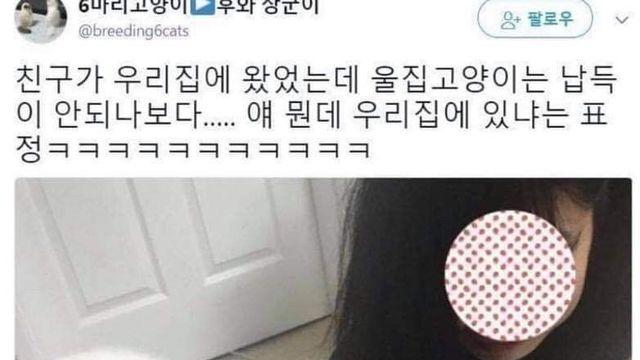 텃세부리는 냥이 썰