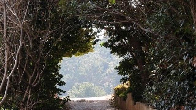 경남도, 휴양·결혼 테마섬 거제 지심도서 '리마인드 웨딩' 지원