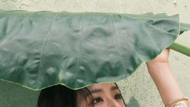 머리끈만 있으면 되는 블레이드 '이것' 하나만 보세요