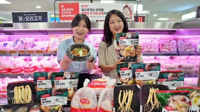 롯데마트, 초복 특가행사…삼계탕용 냉동영계 1천590원
