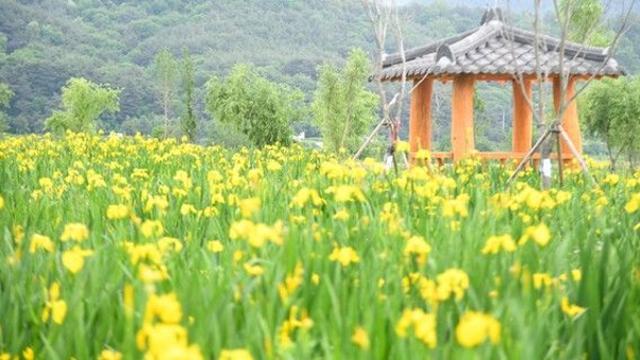 거창 가볼 만한 곳, 사진 남기기 좋은 명소 정리