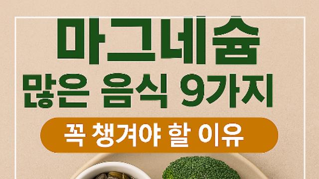 마그네슘 많은 음식 9가지｜혈압·수면·근육에 꼭 필요한 이유